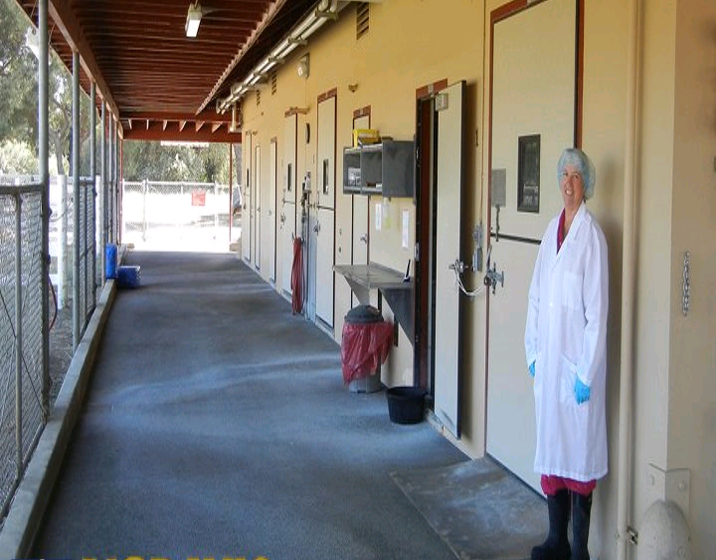Current equine isolation facility at the UC Davis veterinary hospital