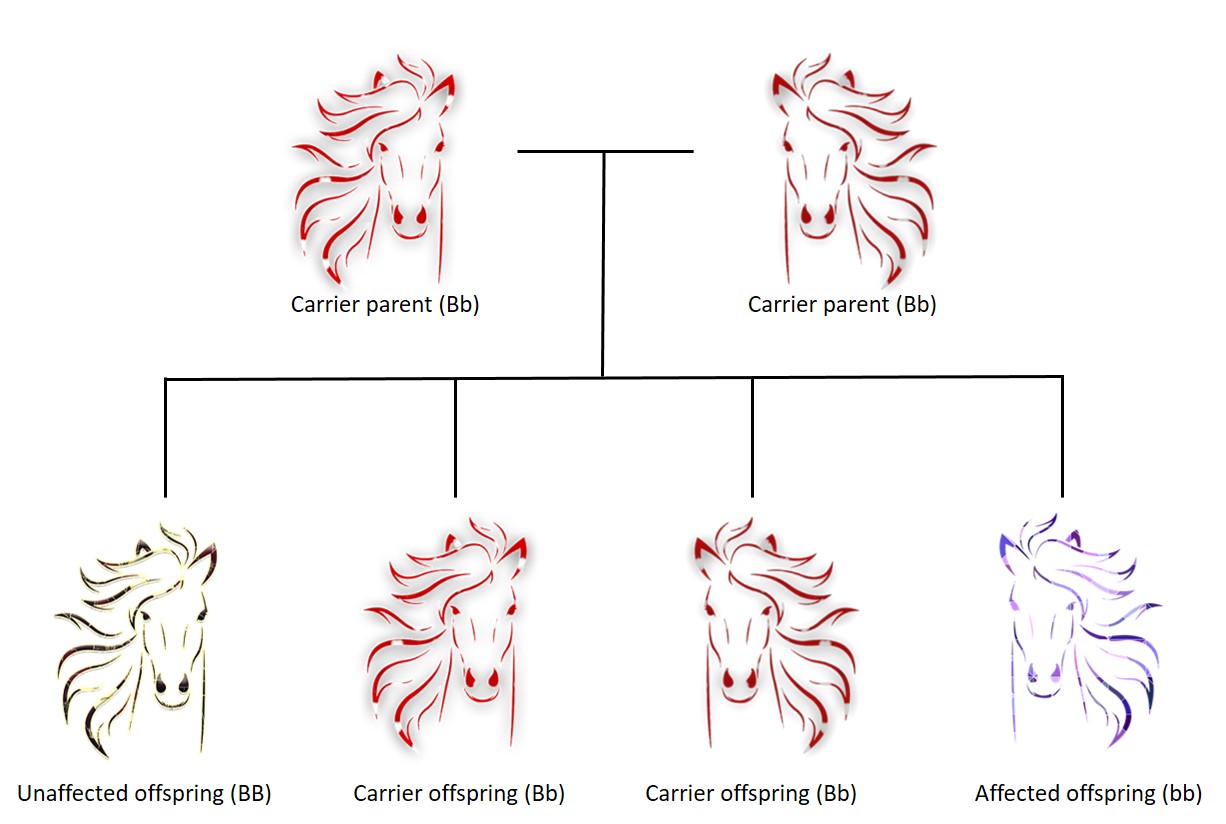 Image of autosomal recessive mode of inheritance