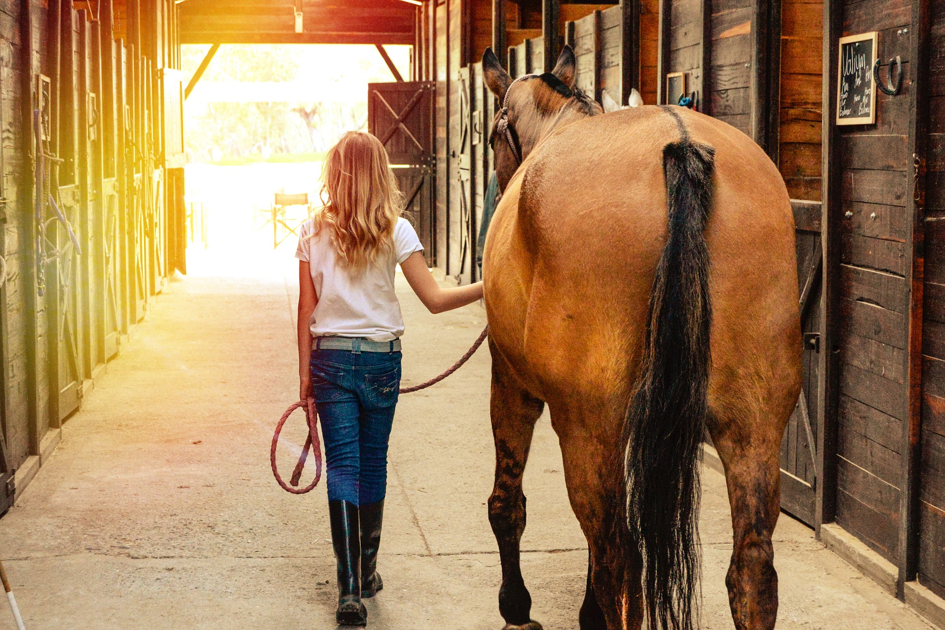 Girl walking horse down barn aisle