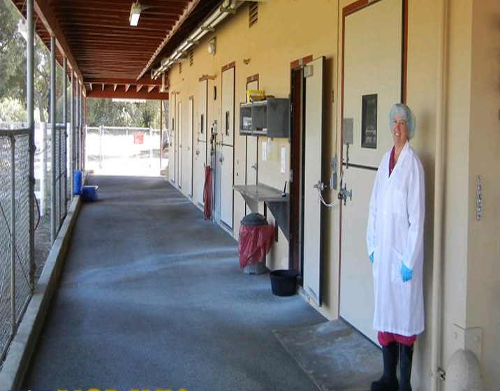 UC Davis equine isolation unit