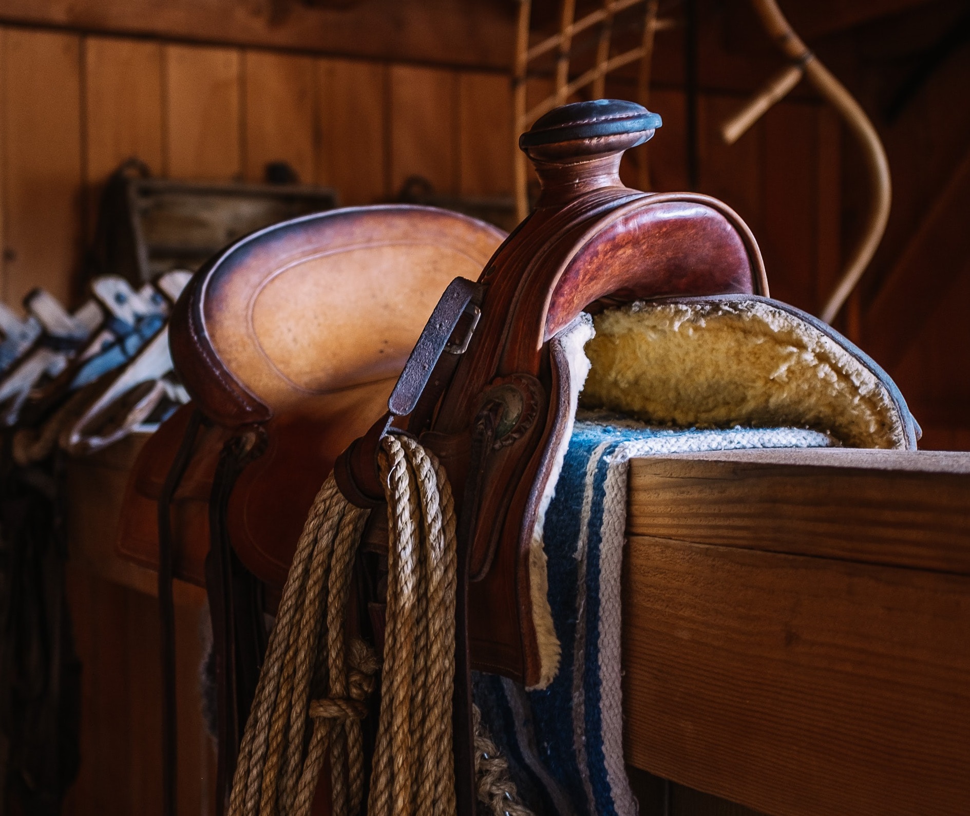 picture of a Western saddle