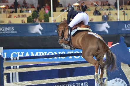 horse jumping