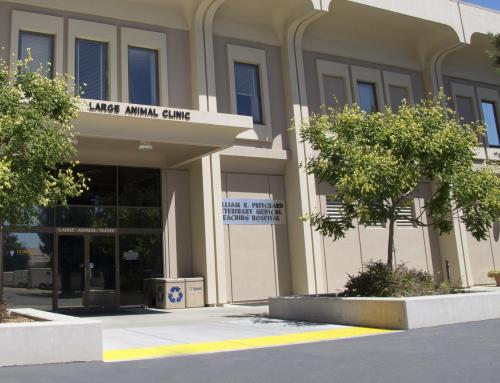 UC Davis Large Animal Clinic entrance