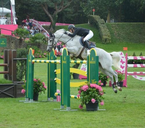 Grey horse jumping green and yellow oxer.
