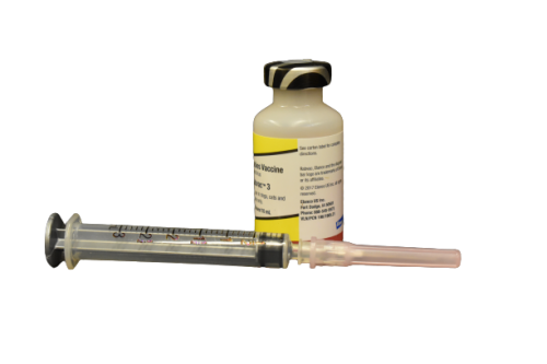 vaccine bottle and needle