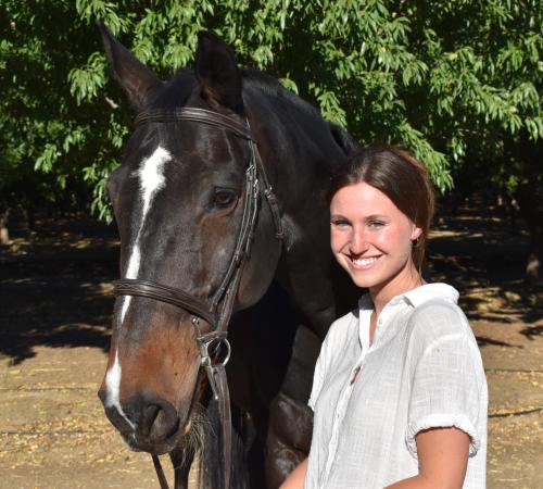 Equine Rehabilitation | Horse Report / School of Veterinary Medicine
