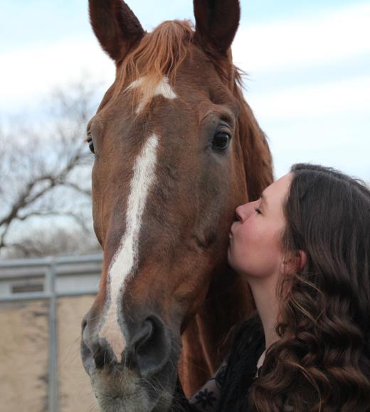 A girl kissing a horse on the cheek