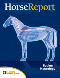 cover of fall 2021 Horse Report