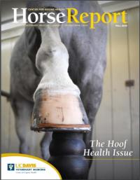 cover of fall 2019 Horse Report