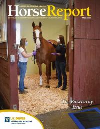 Fall 2020 Horse Report cover