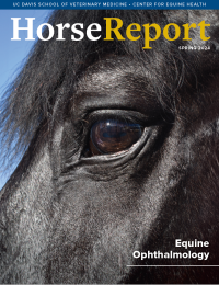 cover of the spring 2024 Horse Report issue showing close up of a black horse's eye