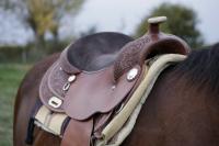 Western saddle on bay horse