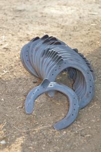 Horseshoes with side clips