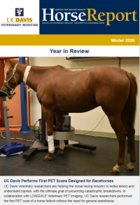 cover of winter 2020 Horse Report