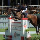 picture of horse jumping